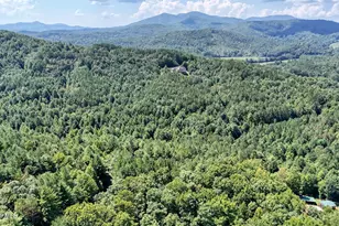 226 Choctaw Ridge Trail, Murphy, NC 28906 - Photo 45