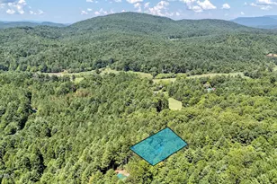 226 Choctaw Ridge Trail, Murphy, NC 28906 - Photo 47