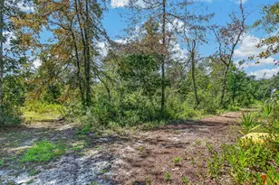 548 Carolina 306, Grantsboro, NC 28529 - Photo 61