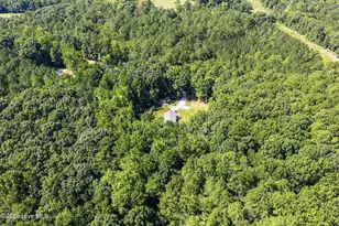 169 Bells Creek Ln, Ellerbe, NC 28338 - Photo 55