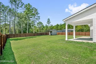 2815 Lemuel Black Rd, Bunnlevel, NC 28323 - Photo 3