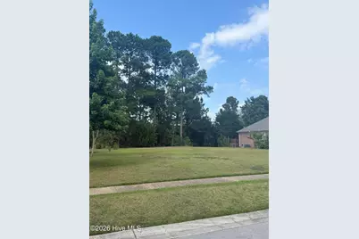 907 Spicebush Drive, Leland, NC 28479 - Photo 3