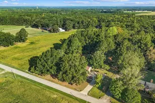 7254 Springfield School Rd, Lucama, NC 27851 - Photo 15