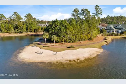 807 Meadowsweet Lane, Leland, NC 28451 - Photo 85