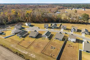 4449 Marthas Vlg Ln, Ayden, NC 28513 - Photo 35