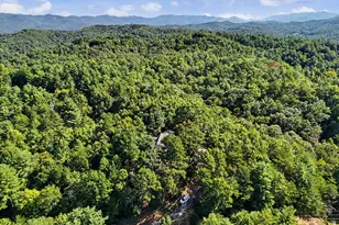 670 Long Branch Rd, Marble, NC 28905 - Photo 3