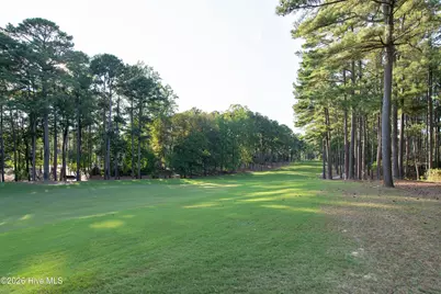 31 Greyabbey Drive, Pinehurst, NC 28374 - Photo 67