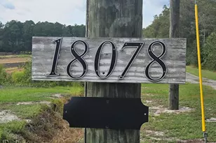 18078 Nc Hwy 210 E, Ivanhoe, NC 28447 - Photo 115