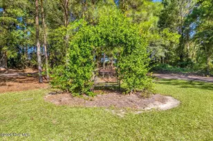 18078 Nc Hwy 210 E, Ivanhoe, NC 28447 - Photo 85