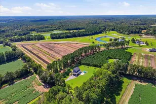 18078 Nc Hwy 210 E, Ivanhoe, NC 28447 - Photo 101