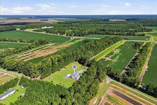 18078 Nc Hwy 210 E, Ivanhoe, NC 28447 - Photo 111