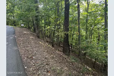18 Mason Way, Murphy, NC 28906 - Photo 3