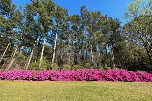 239 Peiffer Ave, Wilmington, NC 28409 - Photo 33