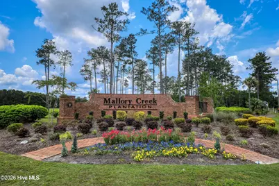 5404 Black Oak Court #Lot 33, Leland, NC 28479 - Photo 51