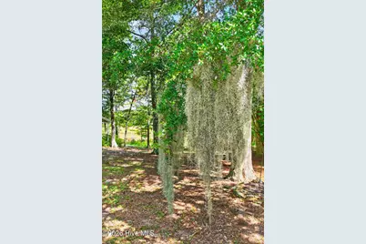 5208 White Ibis Court, Southport, NC 28461 - Photo 11