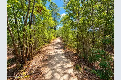 713 Zekes, Wilmington, NC 28411 - Photo 91
