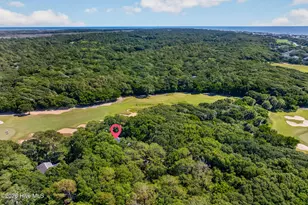 14 Gunnery Ct, Bald Head Island, NC 28461 - Photo 61