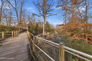 653 Jenoa Loop, Castle Hayne, NC 28429 - Photo 81