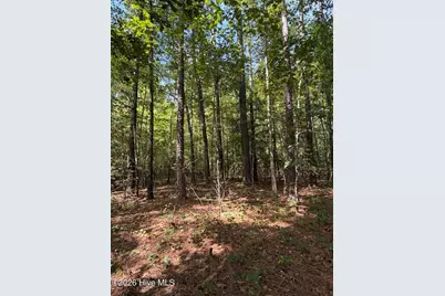 1D Gelding Gap Lane, Carthage, NC 28327 - Photo 1