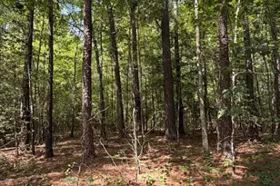 1D Gelding Gap Ln, Carthage, NC 28327 - Photo 1