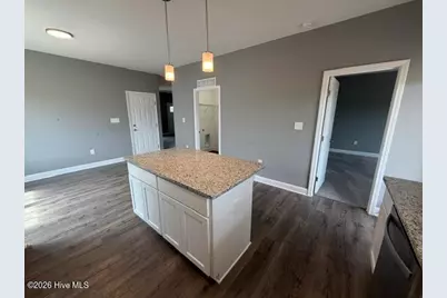580 New Daniels Chapel Road, Fremont, NC 27830 - Photo 7