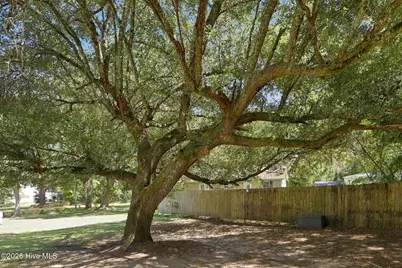 203 George Taylor Road, Newport, NC 28570 - Photo 11