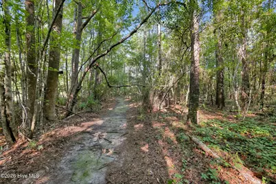 3115 Mill Creek Road, Newport, NC 28570 - Photo 21