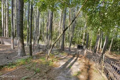 3115 Mill Creek Road, Newport, NC 28570 - Photo 13