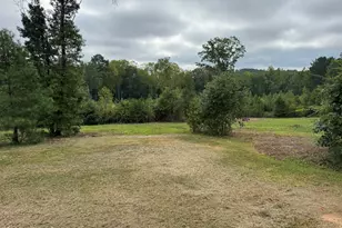 1595 Green Rd, Spring Hope, NC 27882 - Photo 43