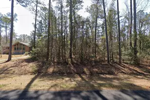 214 Smith Creek Rd, Oriental, NC 28571 - Photo 1