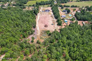5225 Farmers Bridge Rd, Hephzibah, GA 30815 - Photo 49