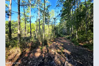 [Address not provided], Bath, NC 27808 - Photo 13