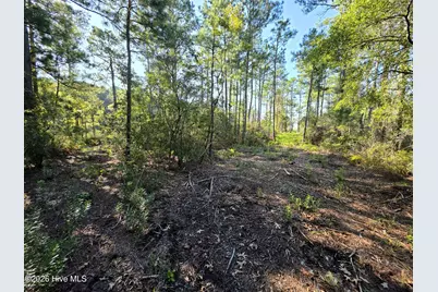 [Address not provided], Bath, NC 27808 - Photo 11