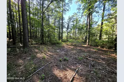 [Address not provided], Bath, NC 27808 - Photo 21