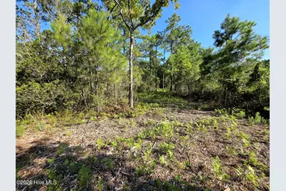 [Address not provided], Bath, NC 27808 - Photo 15