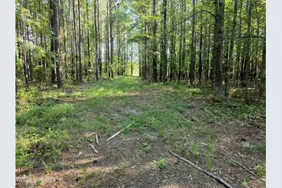 [Address not provided], Bath, NC 27808 - Photo 19