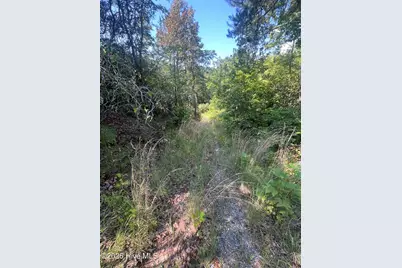 1621 Granny Squirrel Drive, Andrews, NC 28901 - Photo 11