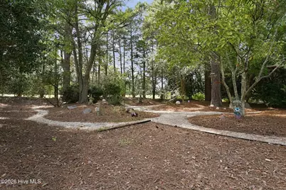 487 Vass Carthage Road, Carthage, NC 28327 - Photo 49