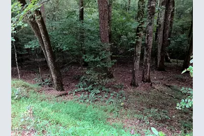 Lot 35 Tr2 Scenic Drive, Hayesville, NC 28904 - Photo 11