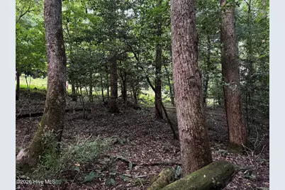 Lot 35 Tr2 Scenic Drive, Hayesville, NC 28904 - Photo 17