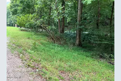 Lot 35 Tr2 Scenic Drive, Hayesville, NC 28904 - Photo 13