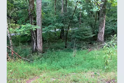 Lot 35 Tr2 Scenic Drive, Hayesville, NC 28904 - Photo 3