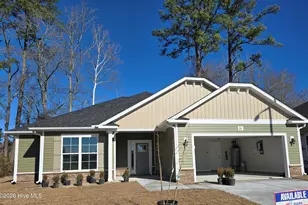 1108 Navidad Bank Ct, New Bern, NC 28560 - Photo 1