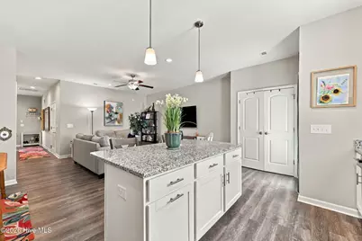 252 Great Egret Way, Beaufort, NC 28516 - Photo 25