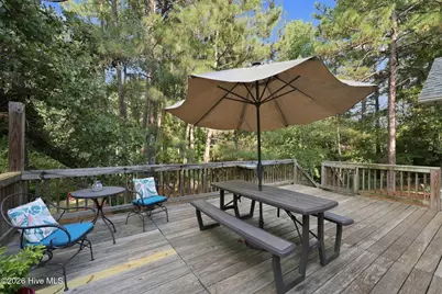 135 Pinesage Drive, West End, NC 27376 - Photo 51