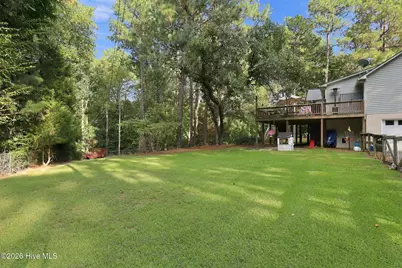 135 Pinesage Drive, West End, NC 27376 - Photo 43