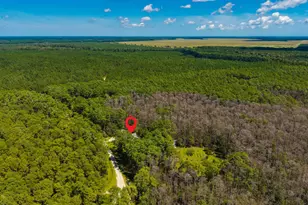 157 Jones Gut Dr, Beaufort, NC 28516 - Photo 49