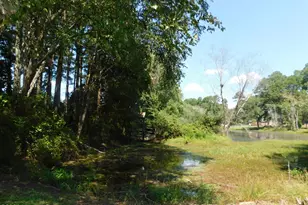 1603 Lake Dr, Laurinburg, NC 28352 - Photo 33