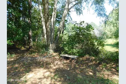 1603 Lake Drive, Laurinburg, NC 28352 - Photo 53