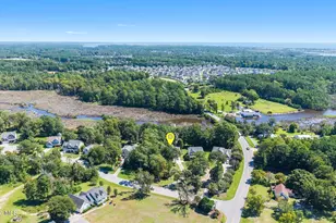108 Old Millstone Landing Ln, Sneads Ferry, NC 28460 - Photo 81